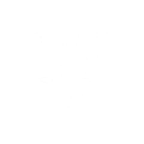 Chicago Bulls