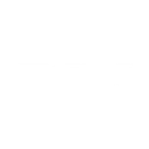 Graphics Hunters