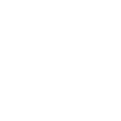 Team Malizia
